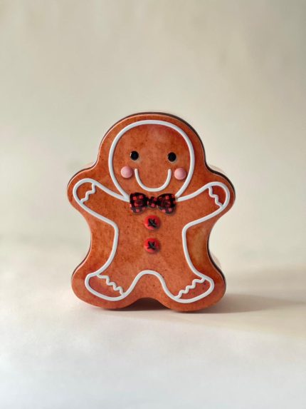 جعبه فلزی جینجر