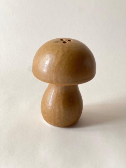 نمکپاش قارچ سرامیکی