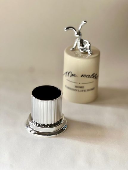 جا گوش پاک‌کن ترموپلاستیک